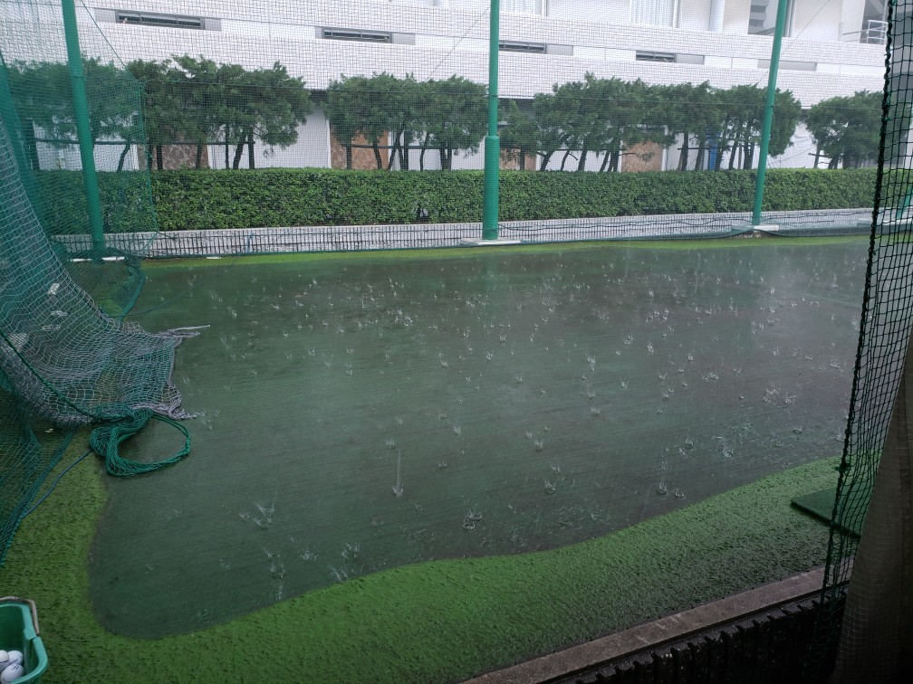 ゲリラ豪雨の襲われた_c0160277_23364084.jpg