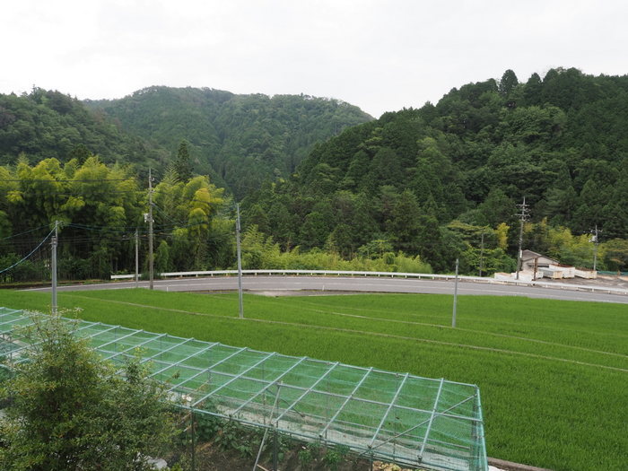 曇り時に日が射し_c0116915_23015043.jpg