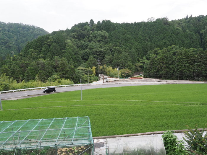 曇り時に日が射し_c0116915_23020247.jpg