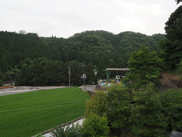 曇り時に日が射し_c0116915_23021241.jpg