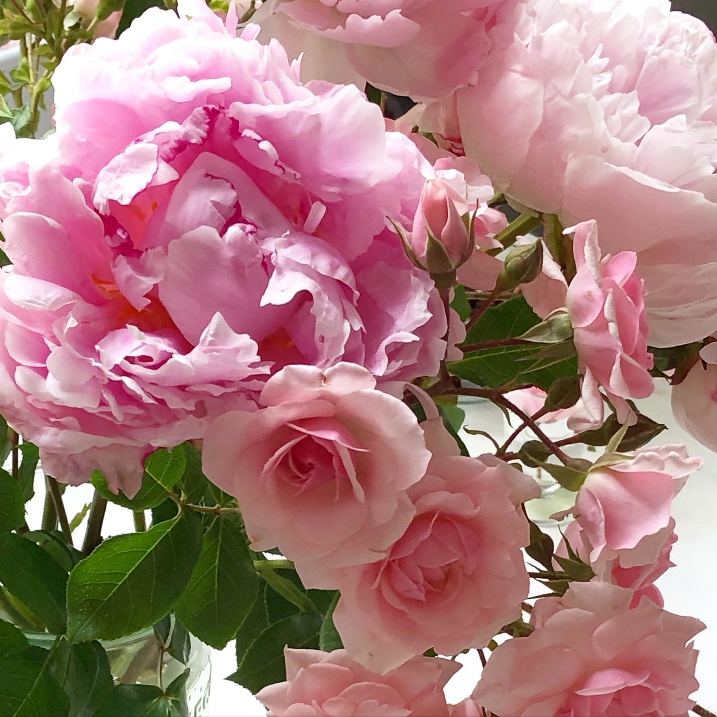 マルシェの花屋で切り花を _a0231632_03210949.jpeg