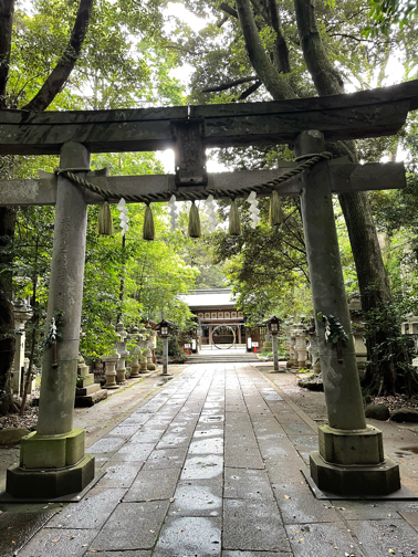 『夏越の大祓（なごしのおおはらえ）』地元の神社で参拝♪_f0023333_21514042.jpg