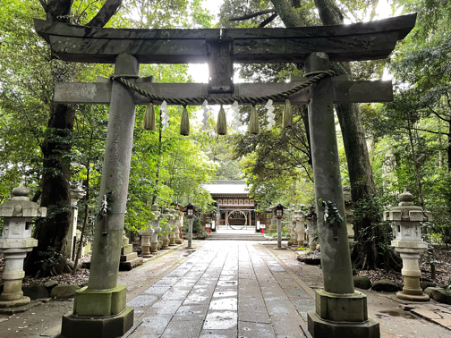 『夏越の大祓（なごしのおおはらえ）』地元の神社で参拝♪_f0023333_21514449.jpg