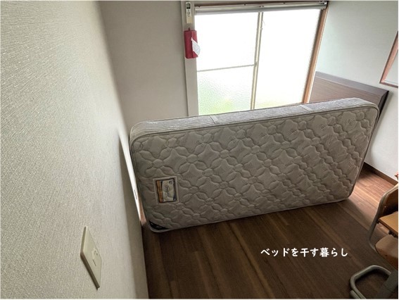 6年目のベッドメイキング その③ アレルギー体質には20㎝前後のマットレスがいいと思う訳_e0343145_14373618.jpg