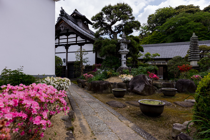 當麻寺・春の花々_f0155048_00011938.jpg