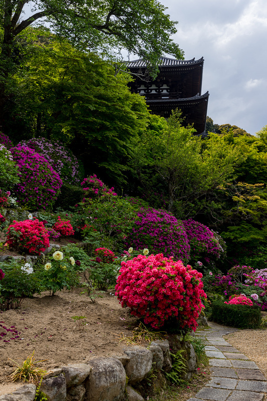 當麻寺・春の花々_f0155048_00020209.jpg