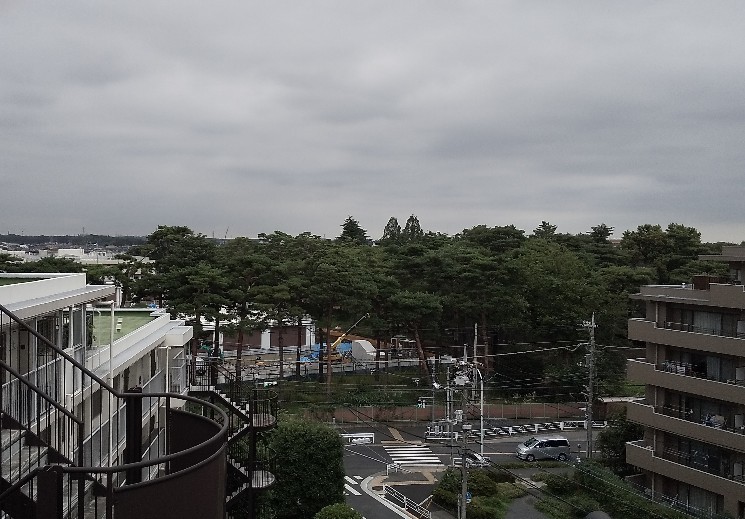 忙しい中での近況報告に感謝_f0291565_14172381.jpg