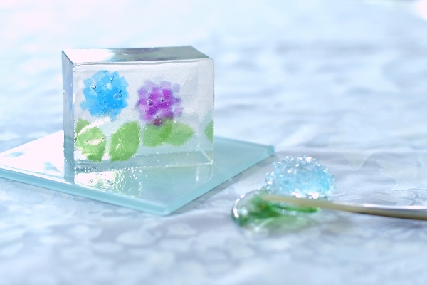 庭の紫陽花 2021　そして紫陽花の錦玉_d0025294_18570669.jpg