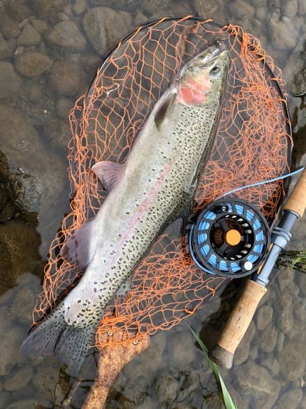 TEALツアーin北海道本流_f0055244_19004564.jpeg