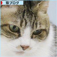 でかおのヒミツ_a0389088_16050772.jpg