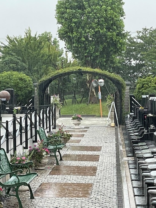 雨の日のできごと_b0263390_10540426.jpg