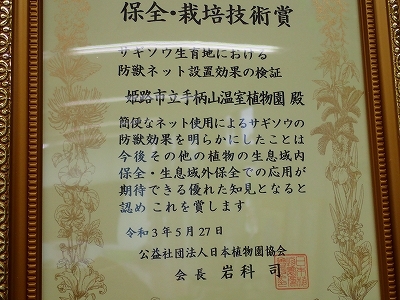 壁に、ふたつ掛けています_f0203094_16124925.jpg