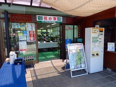 壁に、ふたつ掛けています_f0203094_16185566.jpg