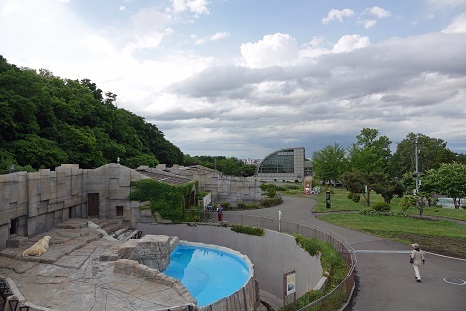 札幌・円山動物園、ホッキョクグマ飼育の歴史 ～ 過去の飼育環境に問題のあったことを示唆させる1970年前後の三頭の若年個体の死_a0151913_01111029.jpg