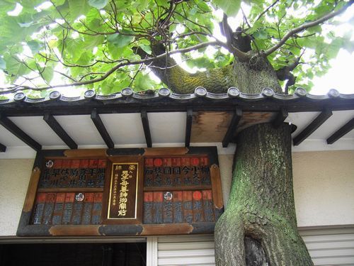 探索隊の入谷・吉原_c0141013_22301528.jpg