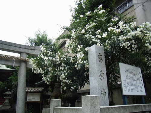 探索隊の入谷・吉原_c0141013_22424513.jpg
