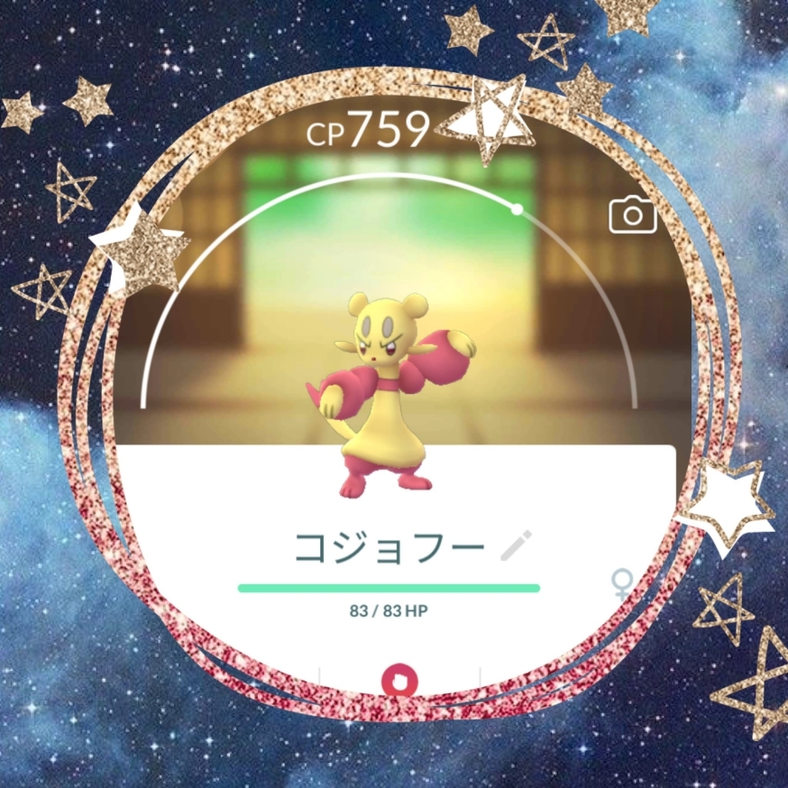 ぶじゅつポケモン コジョフー つばめ食堂 2nd