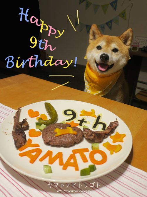 yamato、9歳になりました。_e0394031_06154923.jpg
