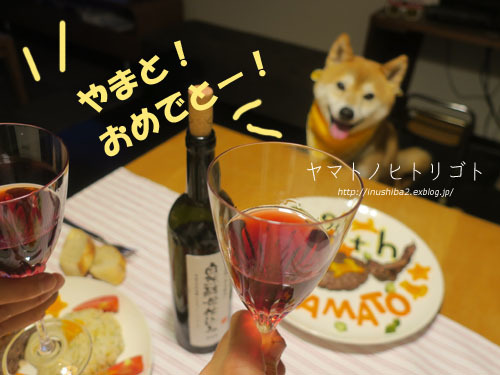 yamato、9歳になりました。_e0394031_06160981.jpg