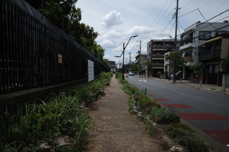 柴又周辺をぶらぶら その3 ~ 柴又帝釈天_a0287336_16002434.jpg