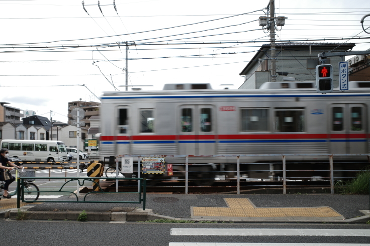 柴又周辺をぶらぶら その3 ~ 柴又帝釈天_a0287336_16005105.jpg