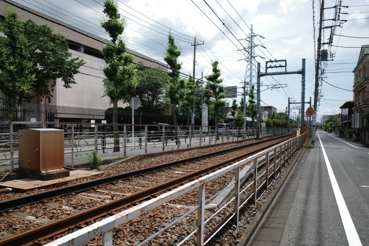 柴又周辺をぶらぶら その3 ~ 柴又帝釈天_a0287336_16013079.jpg