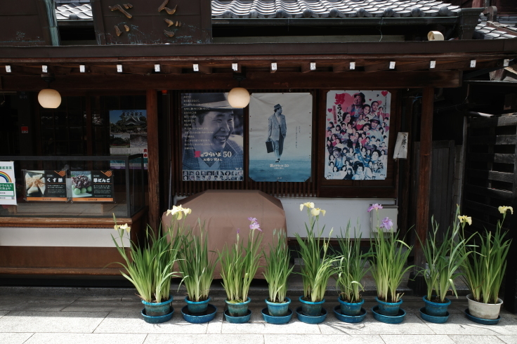 柴又周辺をぶらぶら その3 ~ 柴又帝釈天_a0287336_16305248.jpg