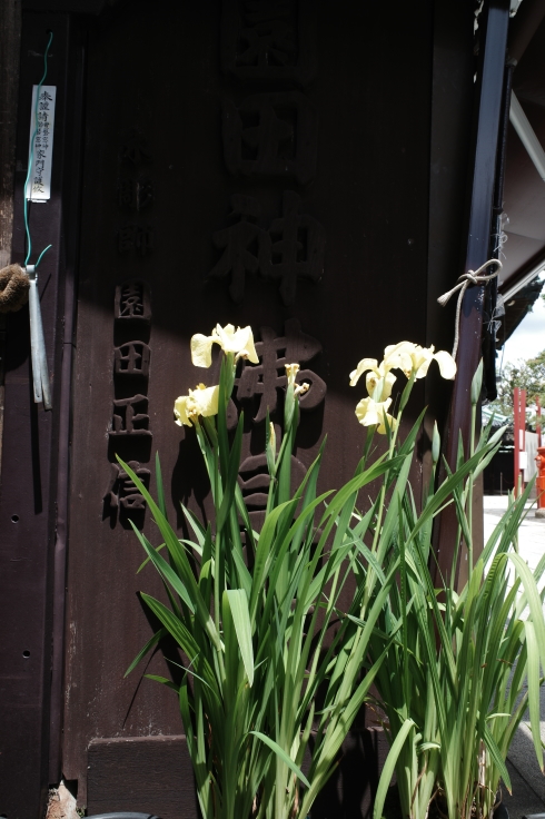 柴又周辺をぶらぶら その3 ~ 柴又帝釈天_a0287336_16440813.jpg