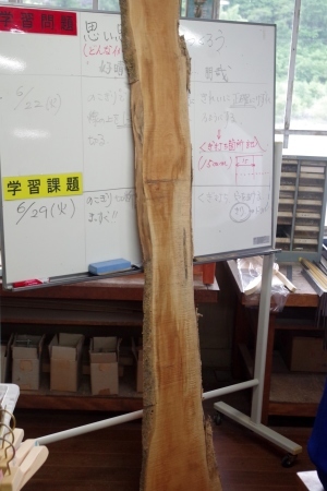 森林レボリューション計画=村立天竜中学校_f0114346_09084391.jpg
