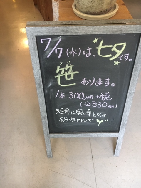 アクアテラポットが入荷しました。_a0201358_15215112.jpg
