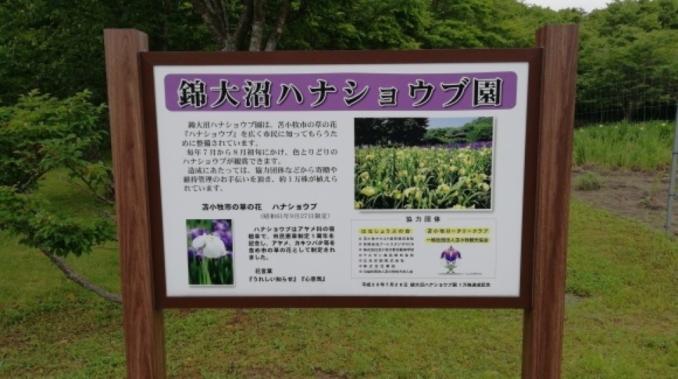 ウトナイ湖 錦大沼公園 7日目_c0212083_17260637.jpg