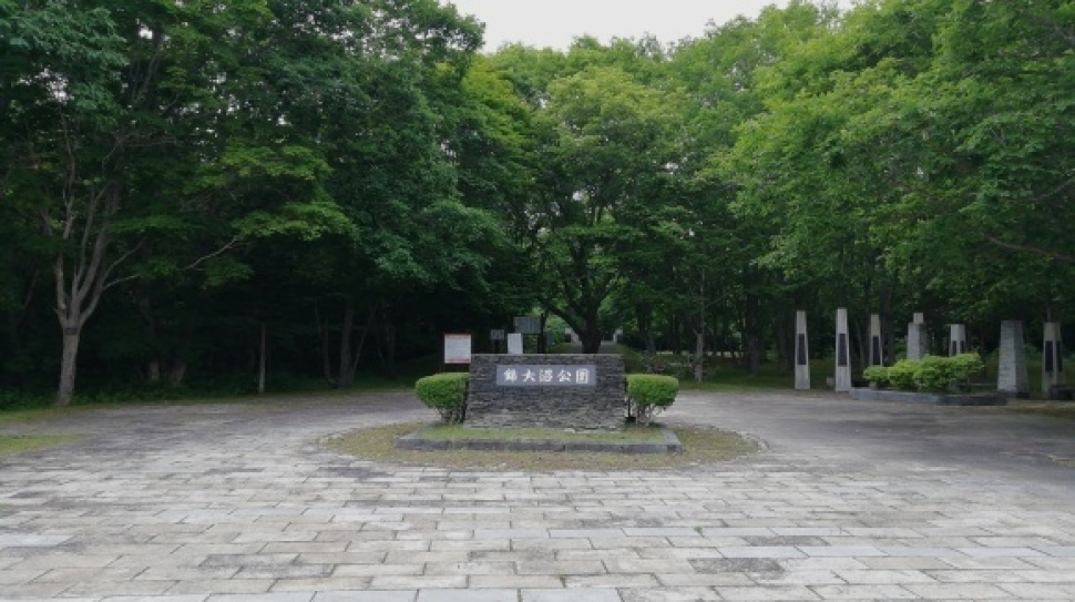 ウトナイ湖 錦大沼公園 7日目_c0212083_17312565.jpg