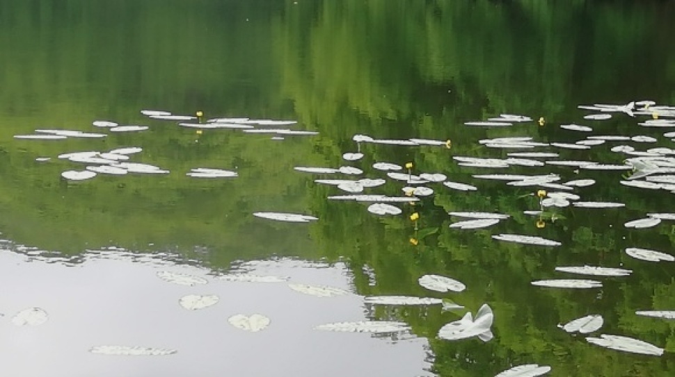 ウトナイ湖 錦大沼公園 7日目_c0212083_17342612.jpg
