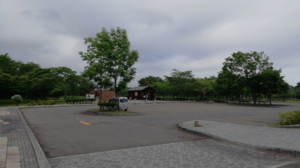 ウトナイ湖 錦大沼公園 7日目_c0212083_17361752.jpg
