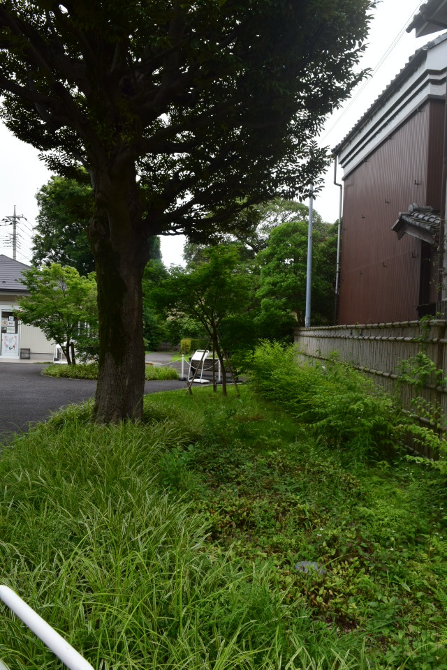 埼玉県川越市の旧山崎家別邸(大正モダン邸宅再見2021)_f0142606_15030803.jpg