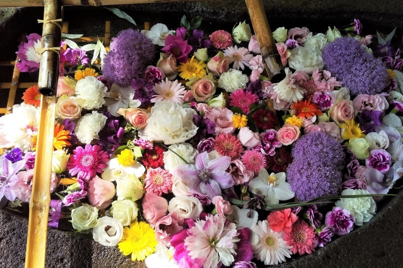6月の花手水 千歳神社 夢風 御朱印日記