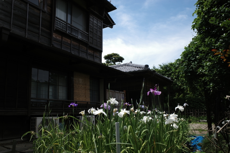 柴又周辺をぶらぶら その4 ~ 山本亭  矢切の渡し_a0287336_21325953.jpg