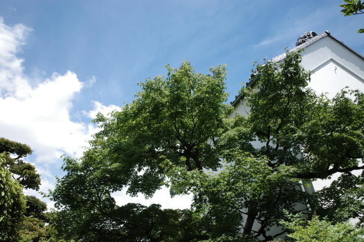 柴又周辺をぶらぶら その4 ~ 山本亭  矢切の渡し_a0287336_21463902.jpg