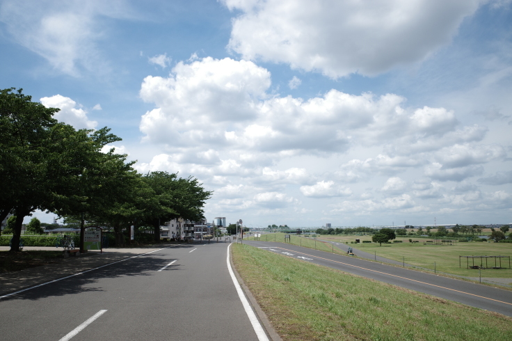 柴又周辺をぶらぶら その4 ~ 山本亭  矢切の渡し_a0287336_22005710.jpg