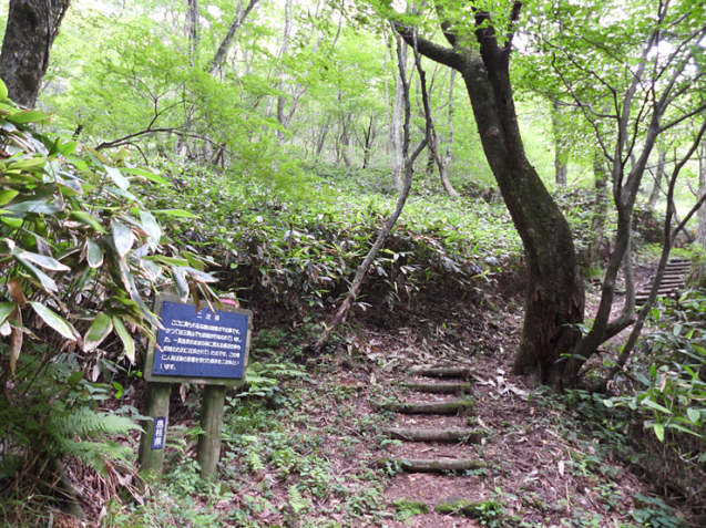 6月25日の三瓶山(室の内)_f0214649_02371797.jpg