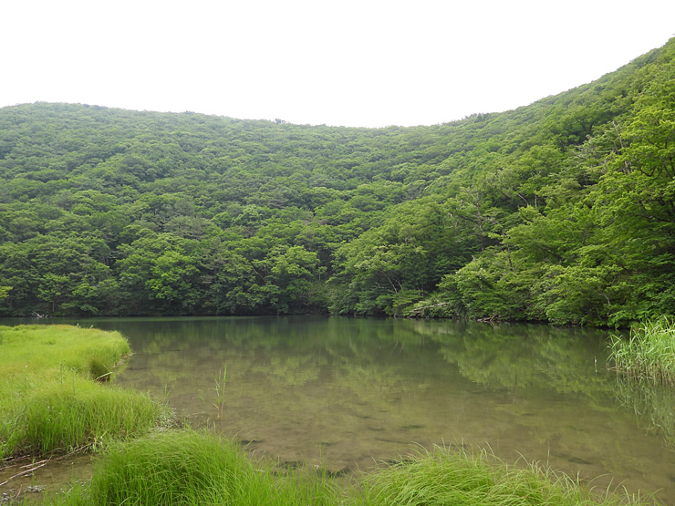 6月25日の三瓶山(室の内)_f0214649_02443990.jpg