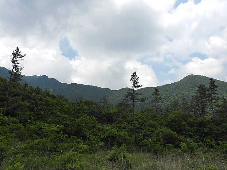 6月25日の三瓶山(室の内)_f0214649_02522853.jpg