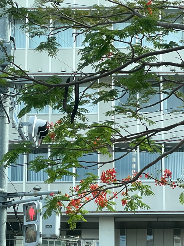 小声旅⑧ お終い_b0228252_20152500.jpg