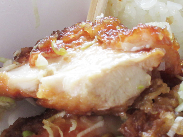 からあげお持ち帰り専門店 加登屋食堂_c0152767_21552443.jpg