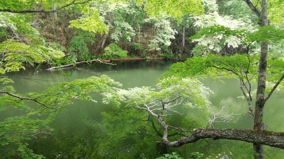 苫小牧 登別 伊達大滝区 8日目_c0212083_20093201.jpg