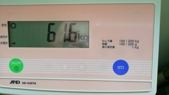 苫小牧 登別 伊達大滝区 8日目_c0212083_20152723.jpg