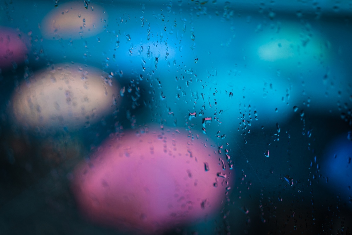 雨の中の傘の花_d0353489_12373706.jpg