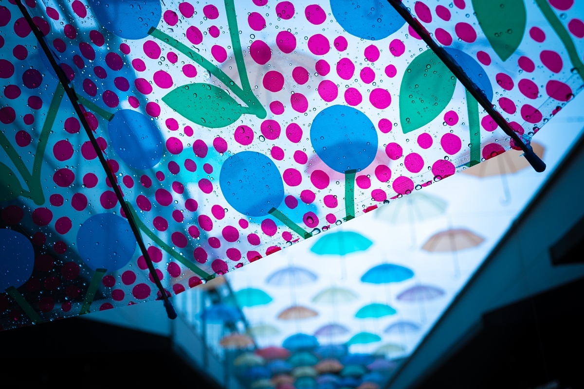 雨の中の傘の花_d0353489_12381349.jpg