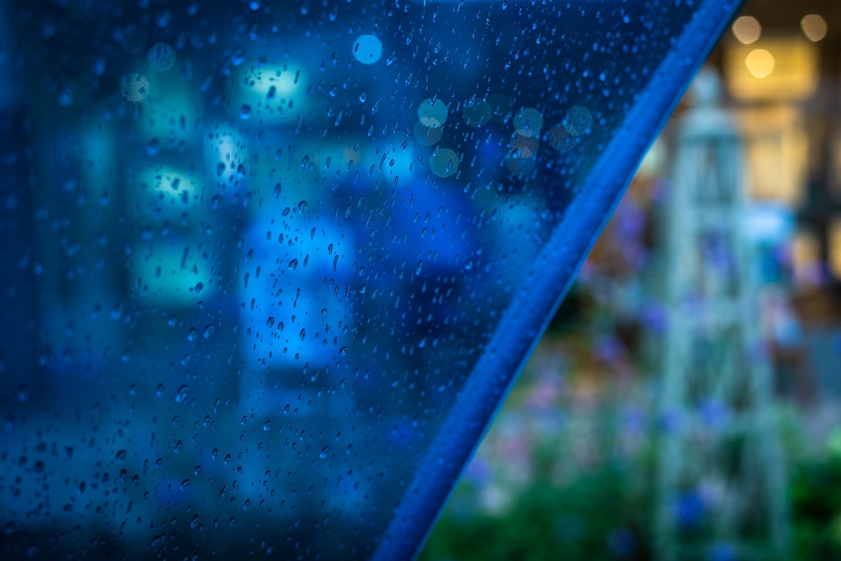雨の中の傘の花_d0353489_12384072.jpg