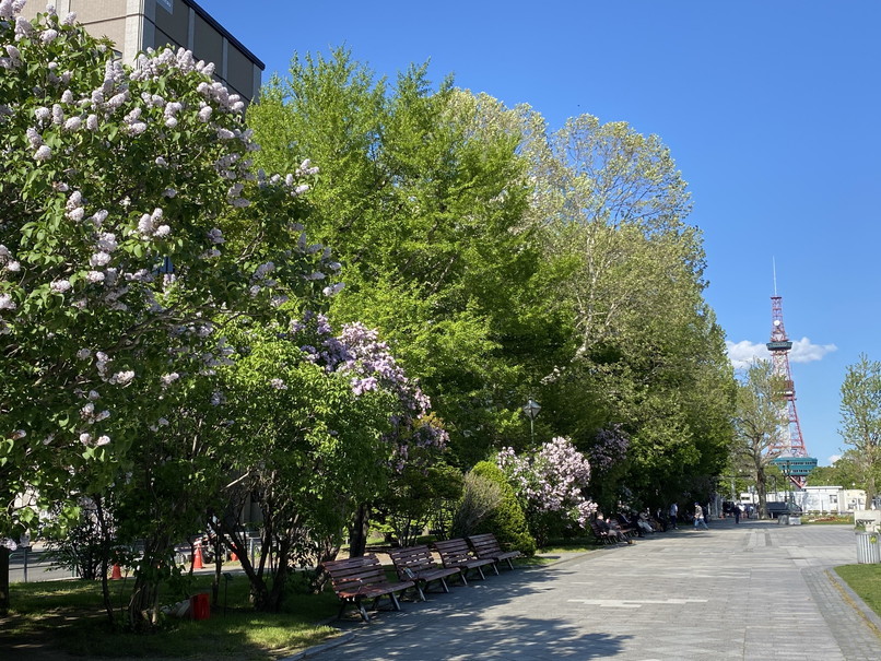 2021年5月 『初夏の札幌』 May 2021 \"The Early Summer of Sapporo\"_c0219616_10152570.jpg